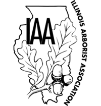 IAA