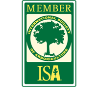 ISA